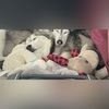 lollyinnm1999